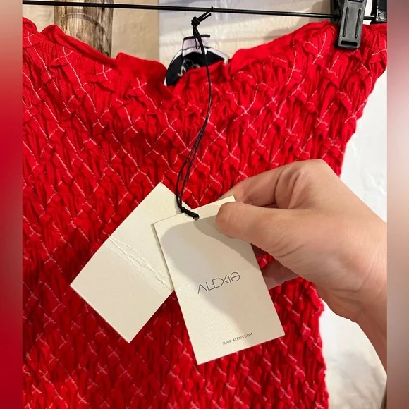 Alexis Revada Dress in Red Geometric Embroidery Size Large NWT - Picture 8 of 11